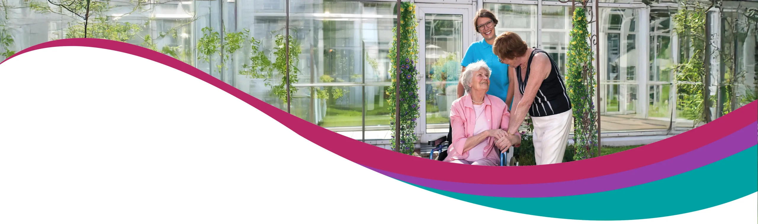 TESS Ageing and Disability