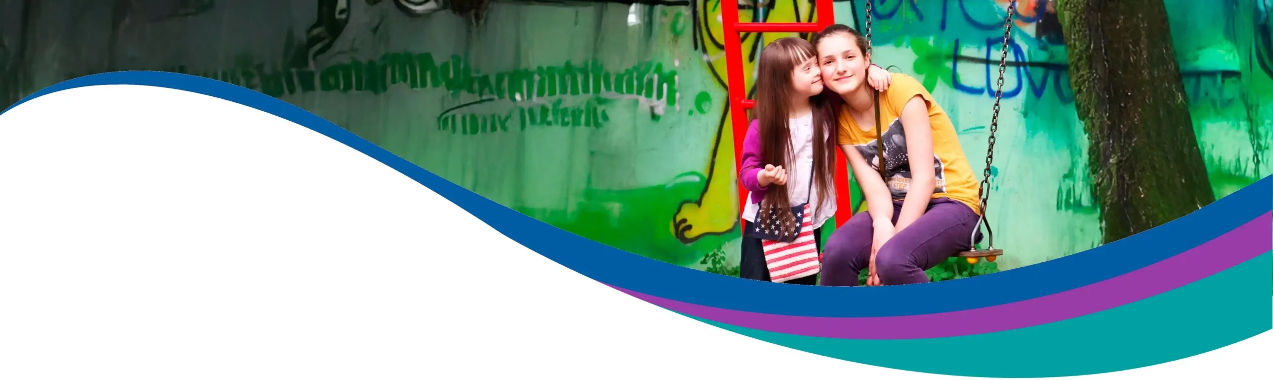 TESS Induction to Disability