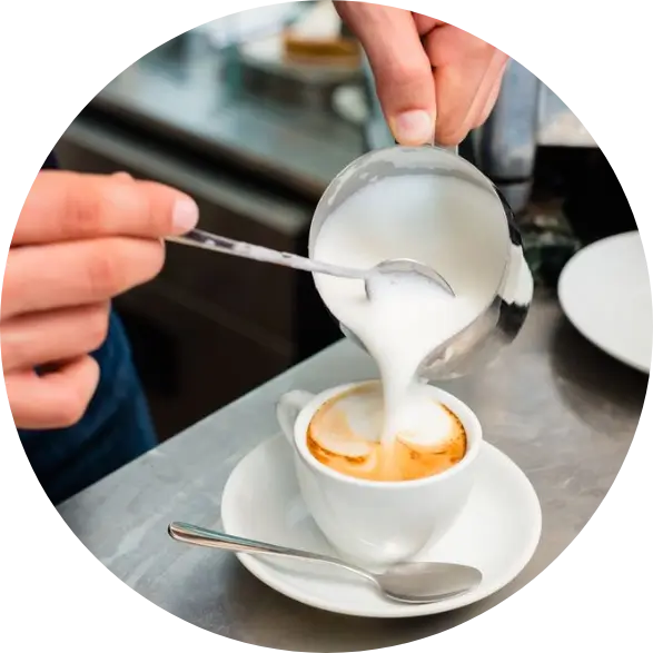 tess shortcourses (1)